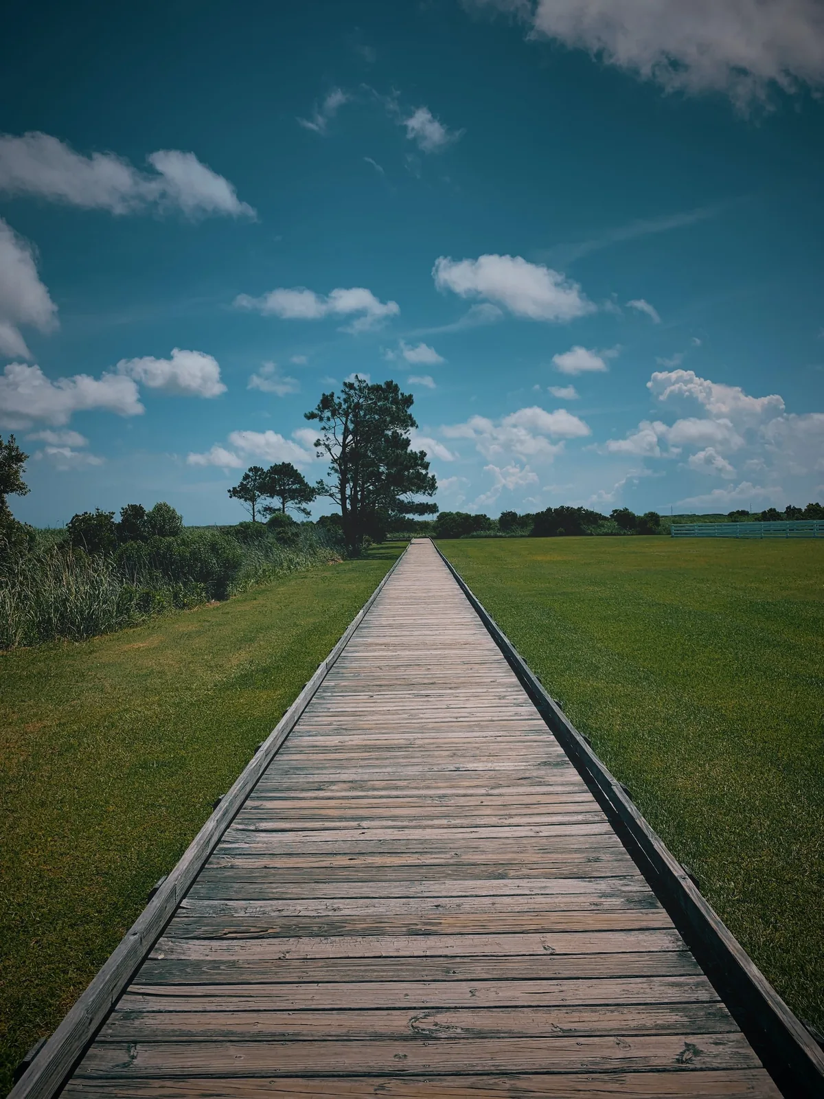 Nags Head Woods Preserve