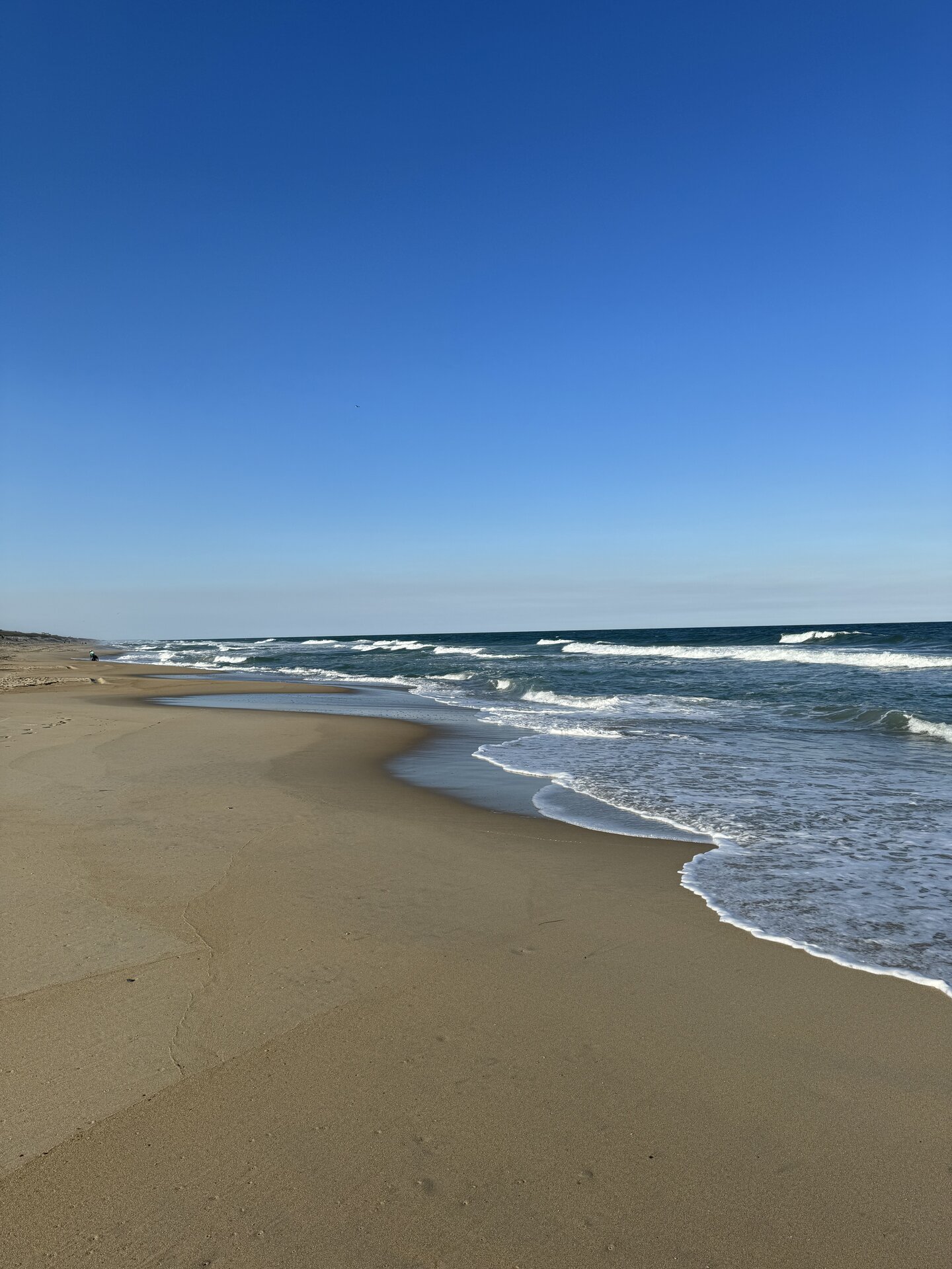 Beaches